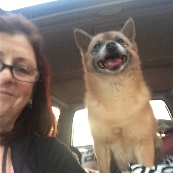 Not for sale - Picture 2 of 4